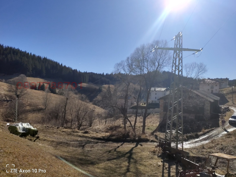 Продава ПАРЦЕЛ, с. Проглед, област Смолян, снимка 10 - Парцели - 52780756
