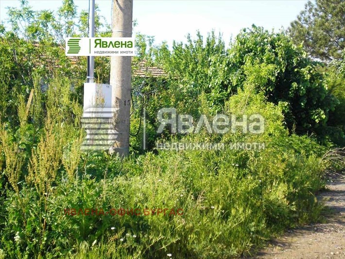 Продава ПАРЦЕЛ, с. Александрово, област Бургас, снимка 6 - Парцели - 41437487