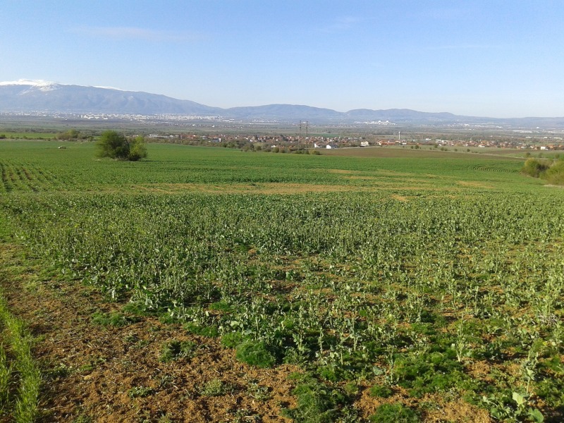 Продава ПАРЦЕЛ, гр. София, с. Доброславци, снимка 5 - Парцели - 52776107