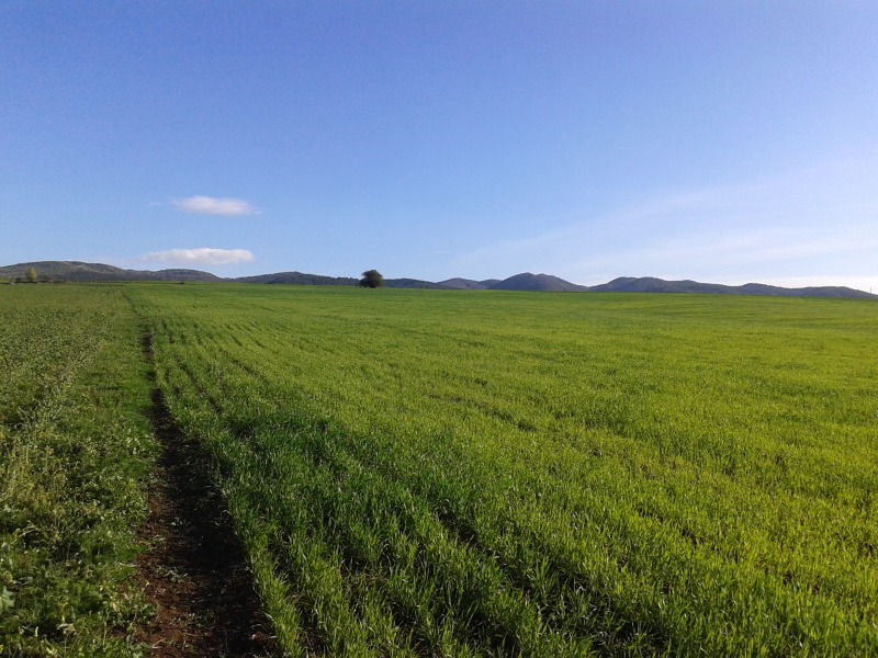 Продава ПАРЦЕЛ, гр. София, с. Доброславци, снимка 15 - Парцели - 52776107