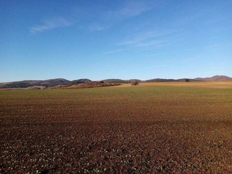 Продава ПАРЦЕЛ, гр. София, с. Доброславци, снимка 12 - Парцели - 52776107