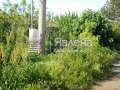 Продава ПАРЦЕЛ, с. Александрово, област Бургас, снимка 6