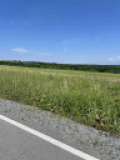 Продава  Парцел област Бургас , с. Велика , 18000 кв.м | 31939365 - изображение [2]