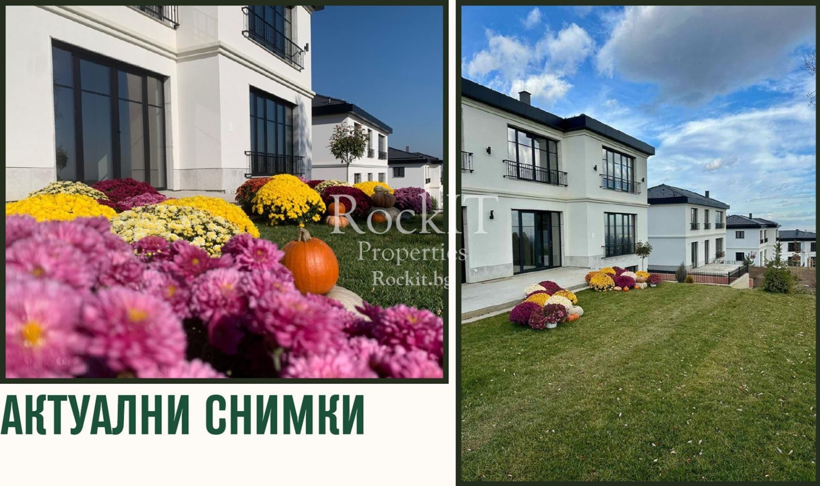 ������� ���� | Imot.bg � ����������� 7
