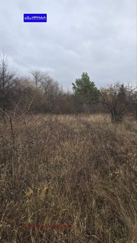 ������� ������ | Imot.bg � ����� ������ 3