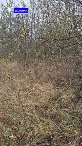 ������� ������ | Imot.bg � ����� ������ 2