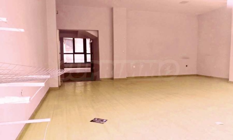 Продава МАГАЗИН, гр. Пловдив, Център, снимка 2 - Магазини - 52811600
