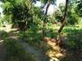 Продава ПАРЦЕЛ, с. Самоводене, област Велико Търново, снимка 9