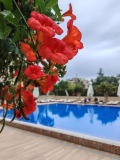Продава 2-СТАЕН, град Варна, к.к. Златни пясъци • 194000 € • 37123211 — Holmes.bg