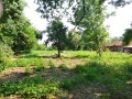 Продава  Парцел област Велико Търново , с. Самоводене , 1800 кв.м | 33423027 - изображение [2]