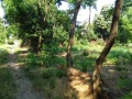 Продава  Парцел област Велико Търново , с. Самоводене , 1800 кв.м | 33423027 - изображение [8]