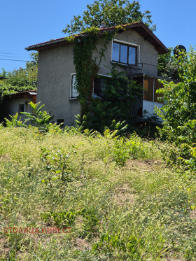 Vila v.z. Leventa, Ruse