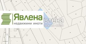 ����� ������� ������,�. �������, ������ ������