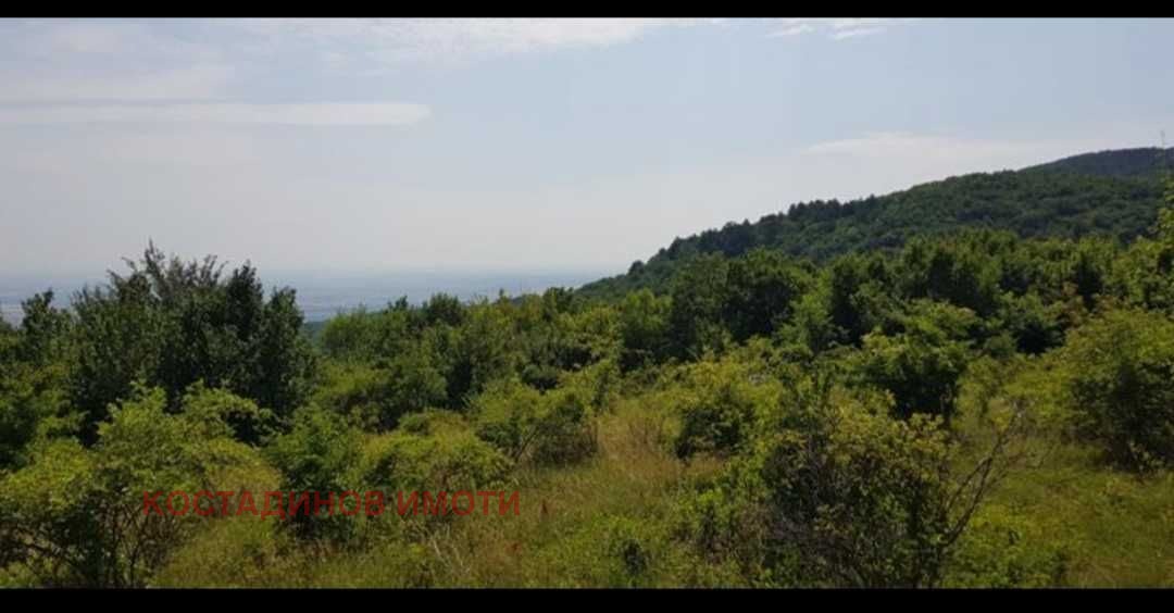 Продава ПАРЦЕЛ, с. Руен, област Пловдив, снимка 3 - Парцели - 56109075