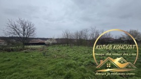 ����� ������� ������,�. ������, ������ ����� ������