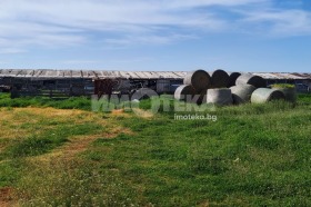 ������� ������ | Imot.bg � ����� ������ 4