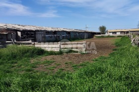 ������� ������ | Imot.bg � ����� ������ 5