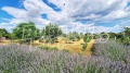 Продава КЪЩА, област Пловдив, с. Радиново • 250000 € • 42057598 — Holmes.bg