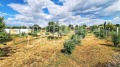 Продава КЪЩА, област Пловдив, с. Радиново • 250000 € • 42057598 — Holmes.bg
