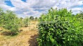 Продава КЪЩА, област Пловдив, с. Радиново • 250000 € • 42057598 — Holmes.bg