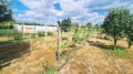 Продава КЪЩА, област Пловдив, с. Радиново • 250000 € • 42057598 — Holmes.bg
