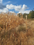 Продава ПАРЦЕЛ, гр. София, с. Иваняне, снимка 9
