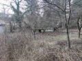 Продава  Къща град София , с. Кокаляне , 134 кв.м | 57259706 - изображение [13]