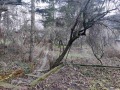 Продава  Къща град София , с. Кокаляне , 134 кв.м | 57259706 - изображение [2]
