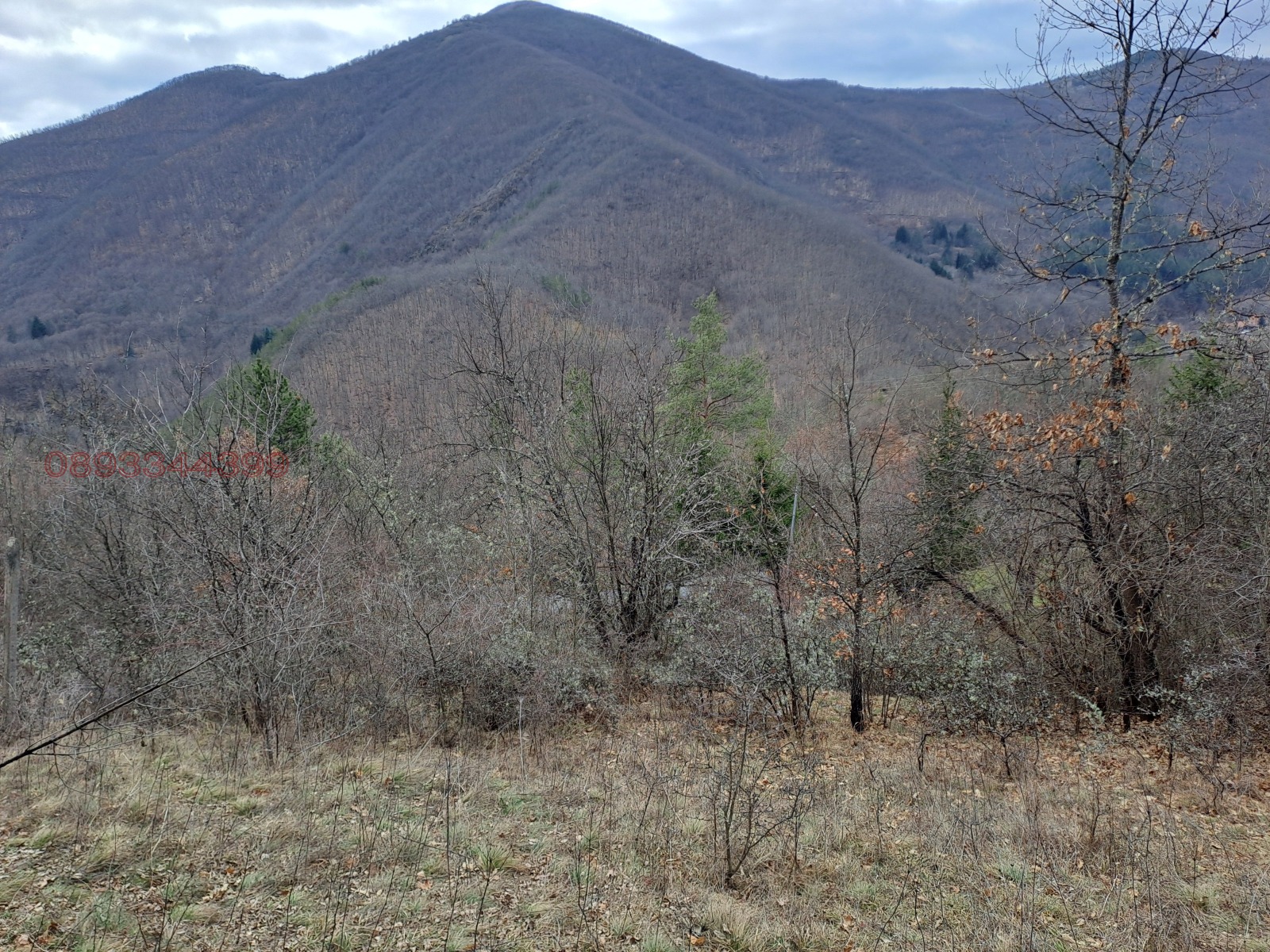 ������� ���� | Imot.bg � ����������� 7