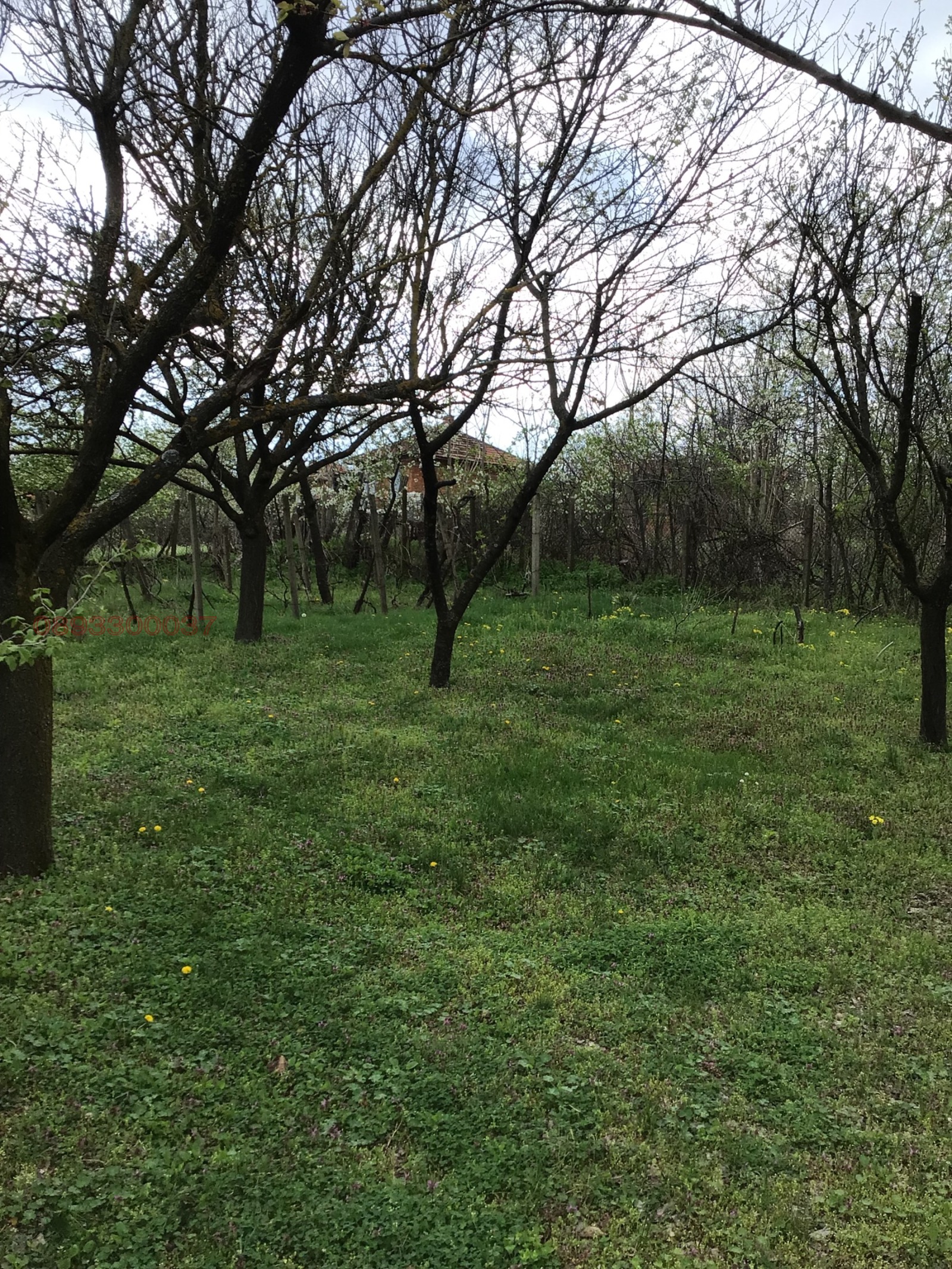 ������� ���� | Imot.bg � ����������� 10