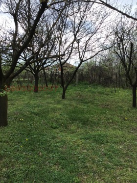 ������� ���� | Imot.bg � ����� ������ 10