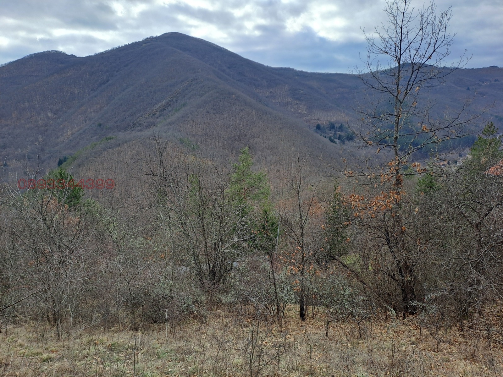 Продава КЪЩА, с. Батулия, област София област, снимка 8 - Къщи - 53869693