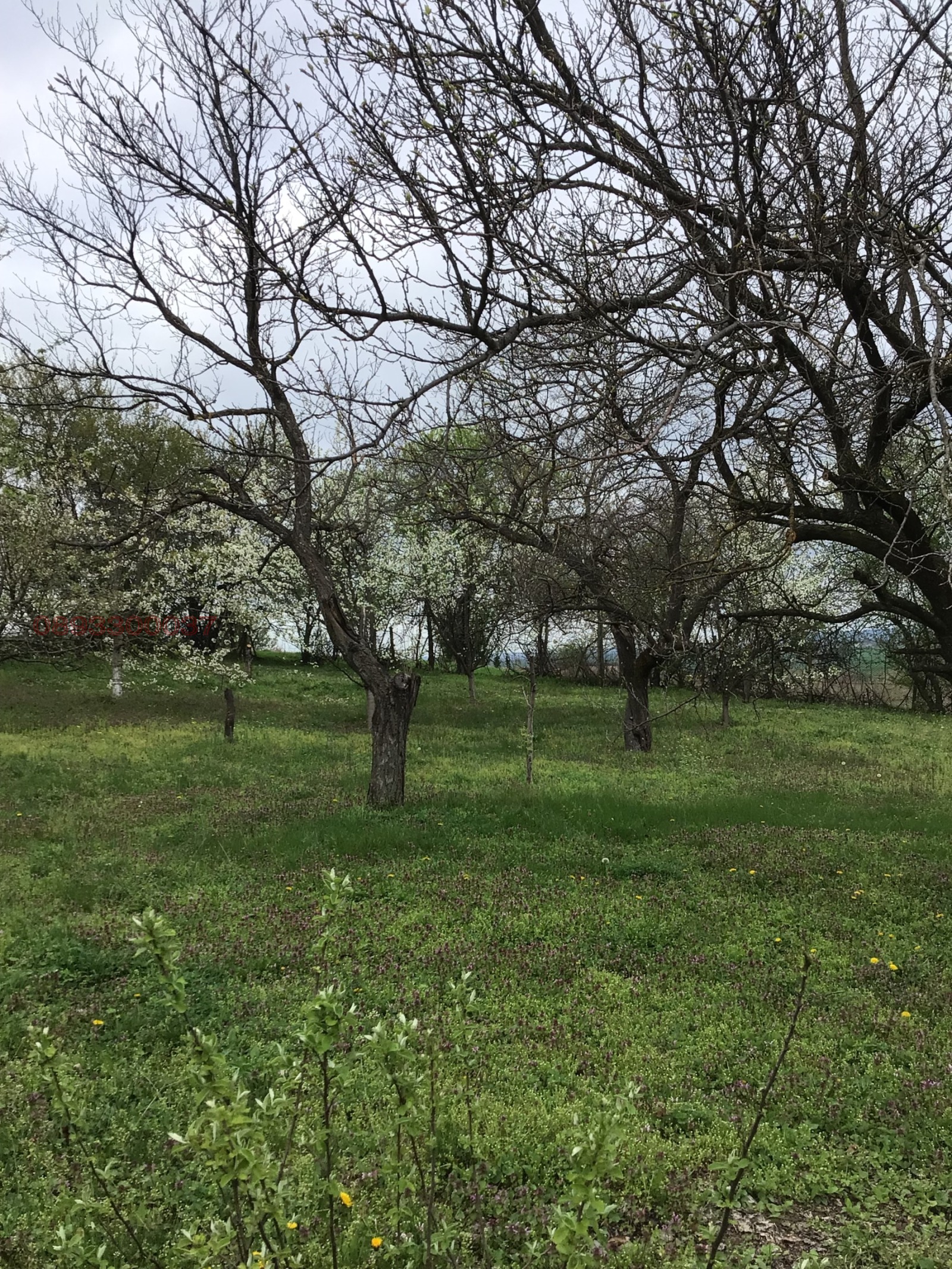 Продава КЪЩА, с. Юпер, област Разград, снимка 6 - Къщи - 54249407