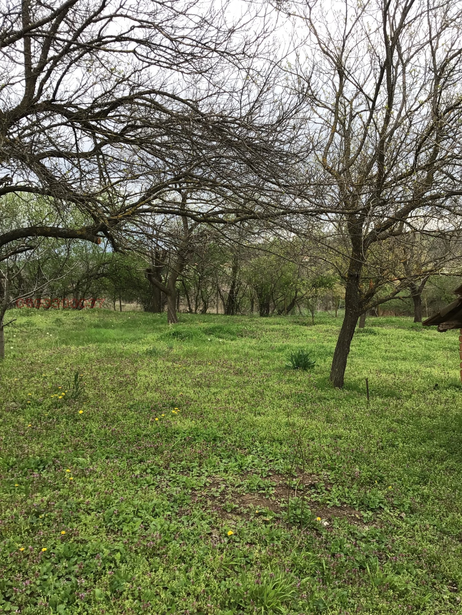 Продава КЪЩА, с. Юпер, област Разград, снимка 8 - Къщи - 54249407