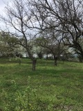 Продава КЪЩА, област Разград, с. Юпер • 15678 € / 30663.50 лв. • 15992169 6