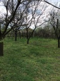 Продава КЪЩА, област Разград, с. Юпер • 15678 € / 30663.50 лв. • 15992169 10