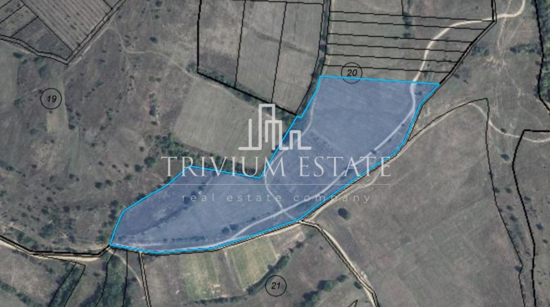 Продава ЗЕМЕДЕЛСКА ЗЕМЯ в област Бургас, с. Манолич - 49 дка / 49 391 € » 96 600.40 лв., ТРИВИУМ ЕСТЕЙТ