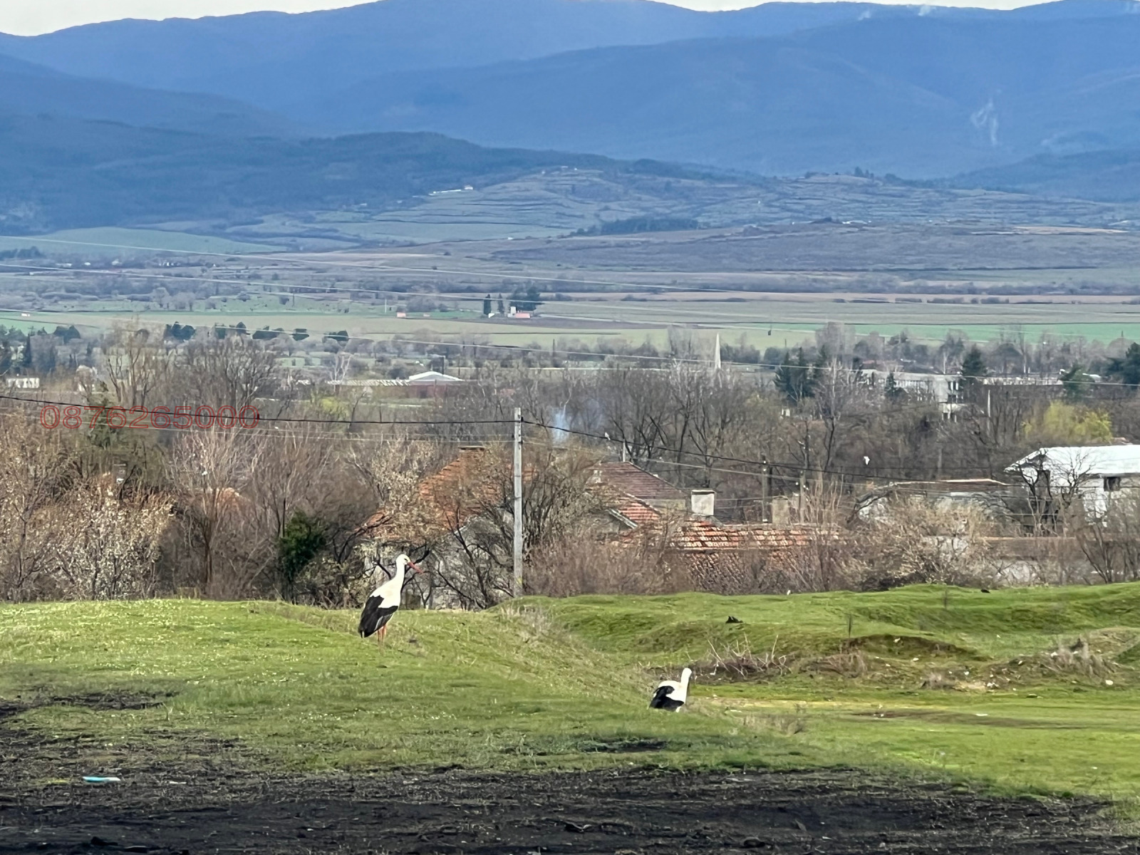 ������� ������ | Imot.bg � ����������� 1