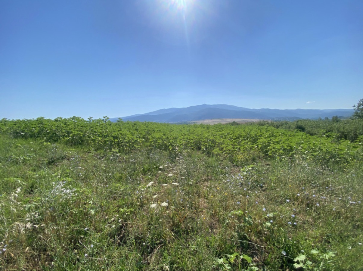 ������� ������ | Imot.bg � ����������� 2