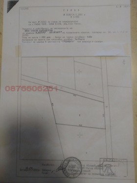 ����� ������� ������,�. ����� ����, ������ �����