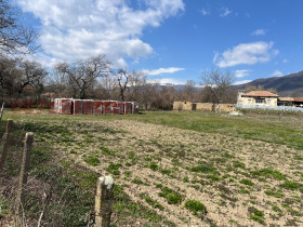 ����� ������� ������,�. ����, ������ ����� ������