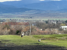 ����� ������� ������,�. ����, ������ ����� ������