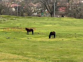 ����� ������� ������,�. ����, ������ ����� ������