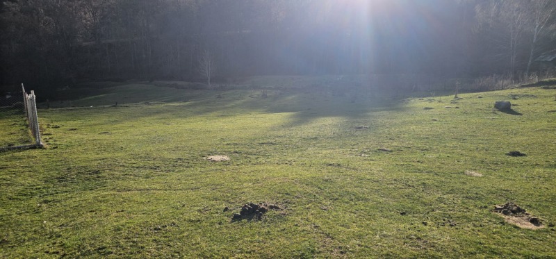 Продава ПАРЦЕЛ, с. Бачево, област Благоевград, снимка 2 - Парцели - 52800694