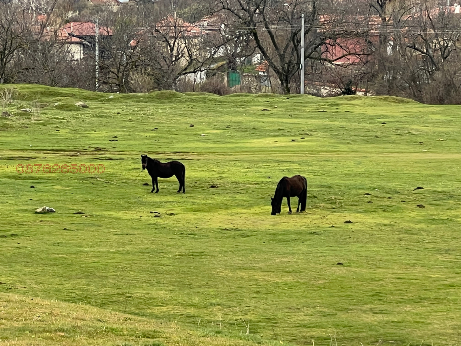 Продава ПАРЦЕЛ, с. Тъжа, област Стара Загора, снимка 2 - Парцели - 54095508