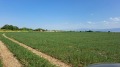 Продава ПАРЦЕЛ, с. Калековец, област Пловдив, снимка 2