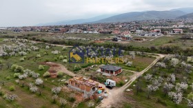 ����� ������� ������,�. ��������, ������ �������