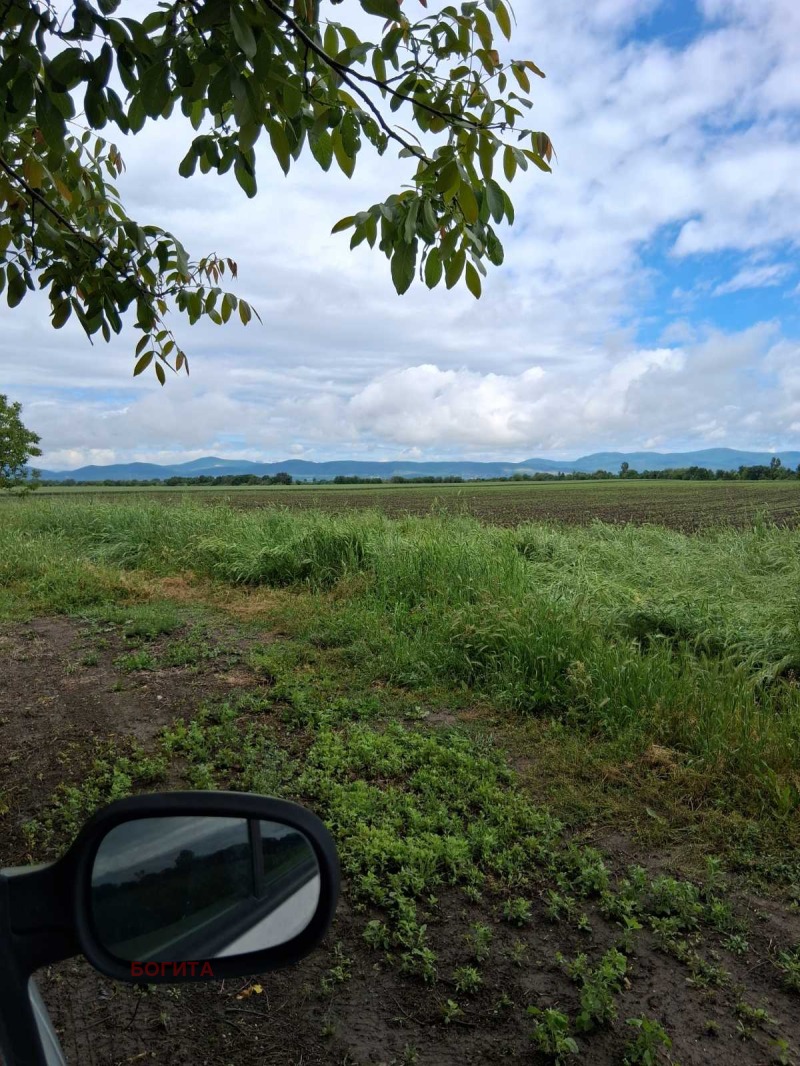 For Sale  Plot region Stara Zagora  , Malko Kadievo , 1800 sq.m | 71501469 - image [2]