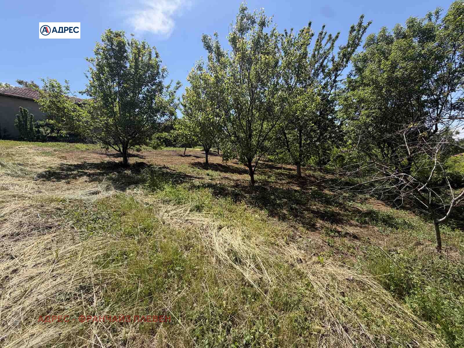 Продава ПАРЦЕЛ, с. Гривица, област Плевен, снимка 5 - Парцели - 54591143