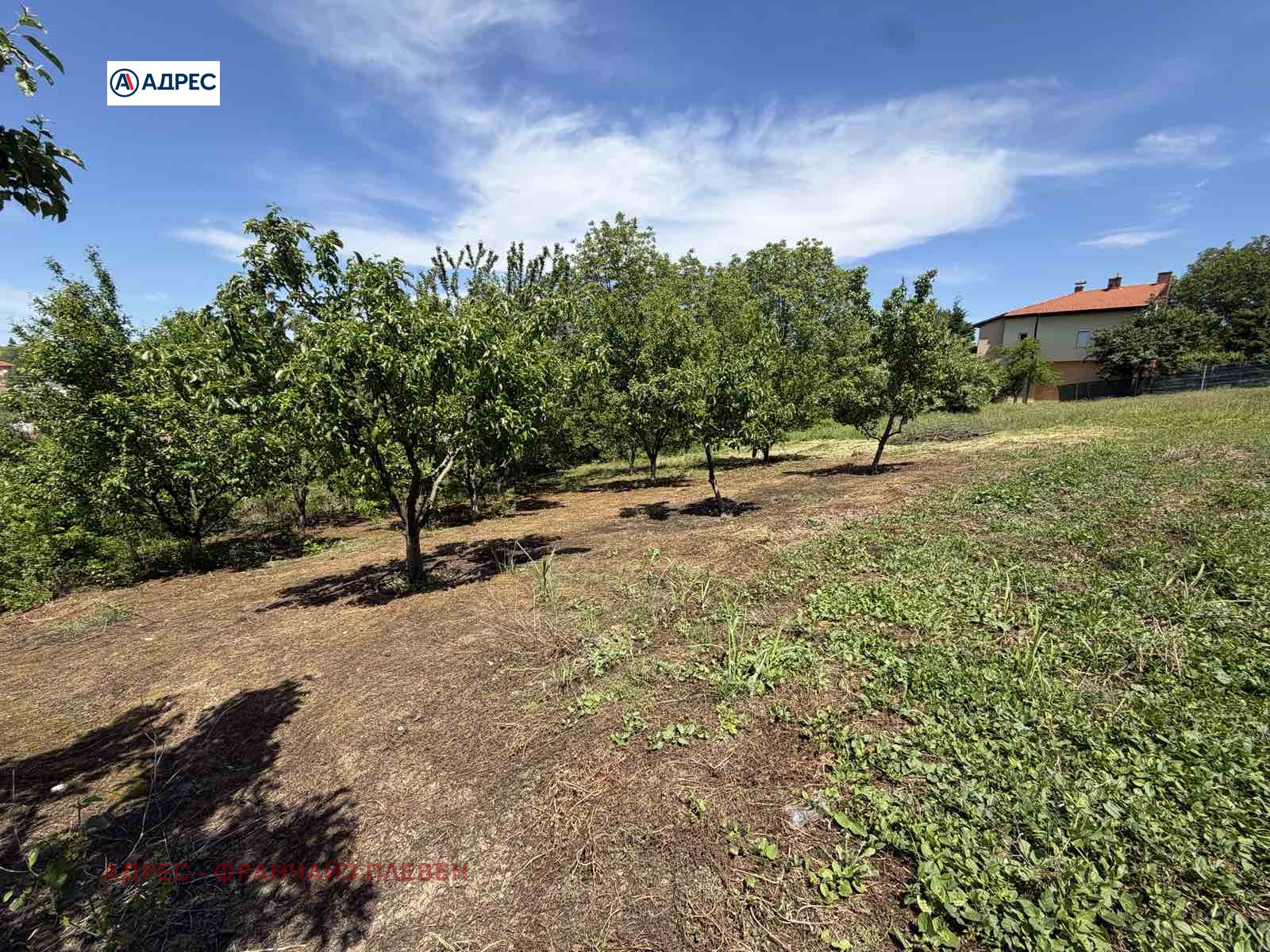 Продава ПАРЦЕЛ, с. Гривица, област Плевен, снимка 2 - Парцели - 54591143